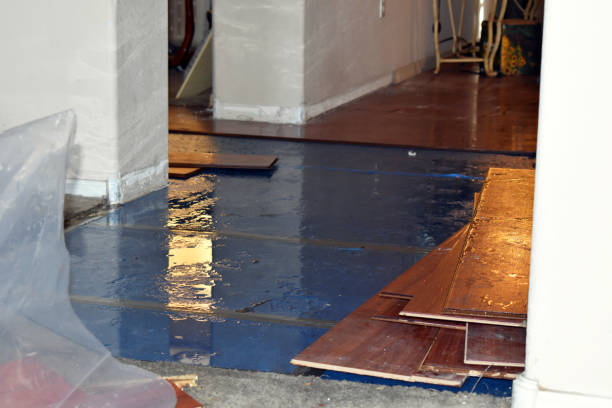 Professional Water Extraction technician working in Holt, MI